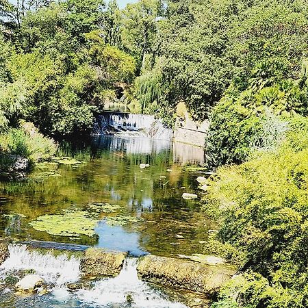 Villa En Pleine Nature Le Muy Dış mekan fotoğraf